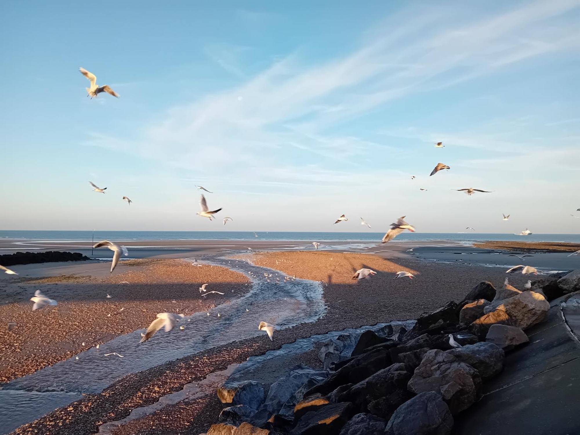 Thalassa Audresselles Eksteriør billede